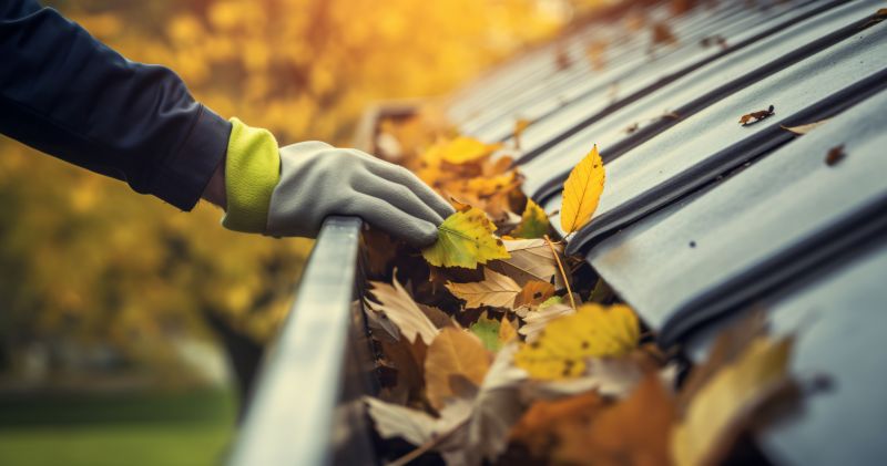 Installing Gutter Covers Before Autumn